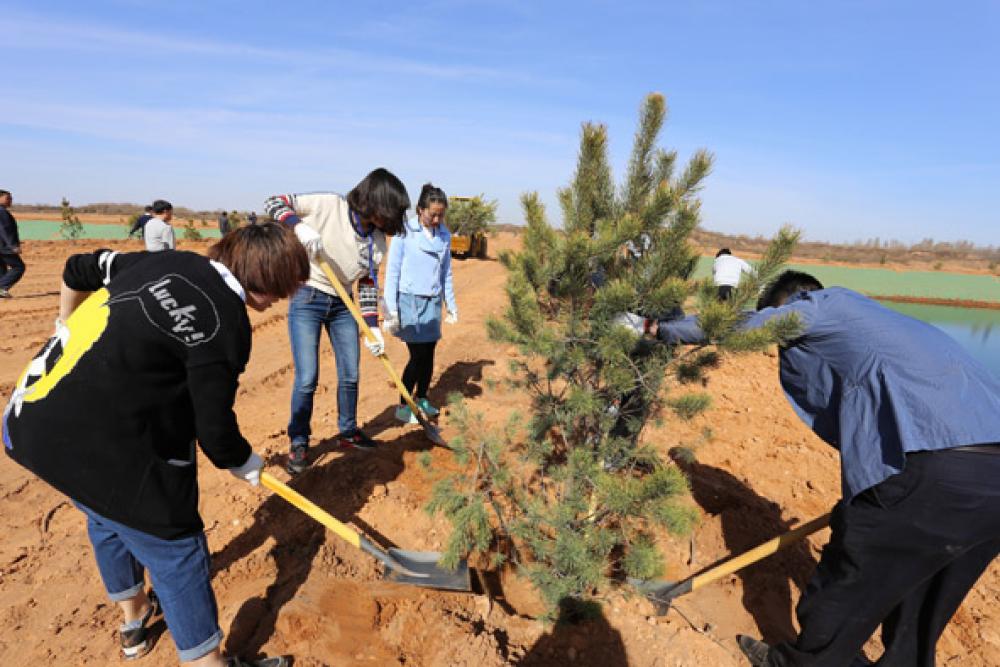公司党委组织党员进行义务植树活动